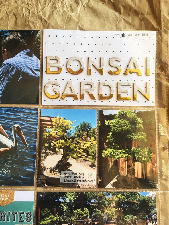 Bonsai Garden by Lveejames gallery