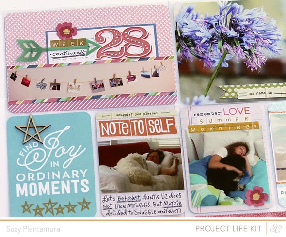 Project Life Week 28b by suzyplant gallery