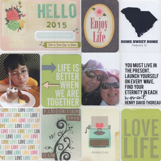 2015 Project Life Cover