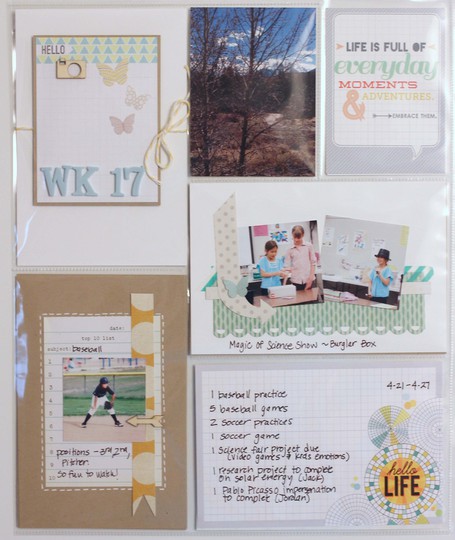 project life wk 17