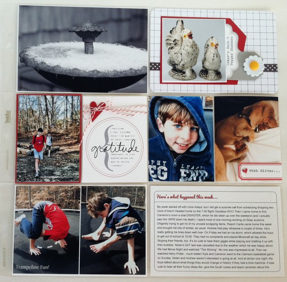Project Life Week 4 (2 page spread + others) by rowdymama_bellsouth_net gallery