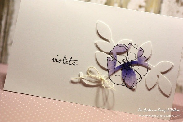Violets by helenes gallery