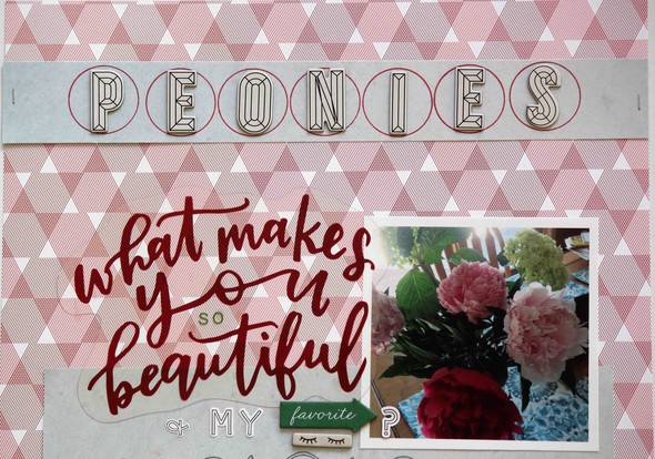 Peonies What Makes You So Beautiful & My Favorite? by Brinkleyboy gallery