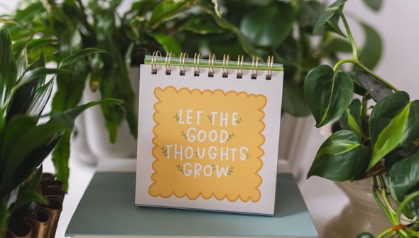 52 Weeks of Plant Quotes Flip Desk Calendar gallery