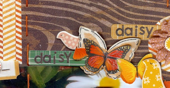 daisy, daisy by dmbd gallery