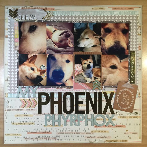 My Phoenix Phyrphox by Leashah gallery