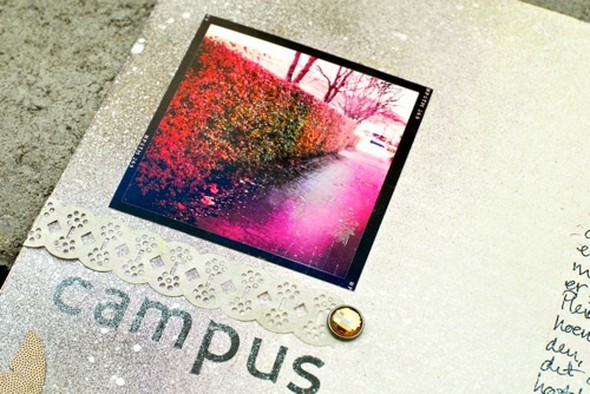Campus by Margrethe gallery