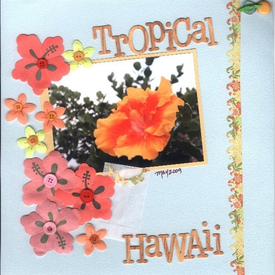 Copy of tropical hawaii