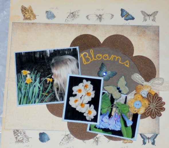 Bloom by valerie_durham gallery