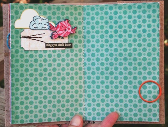 DIY summer smash...use your stash challenge by Leah gallery