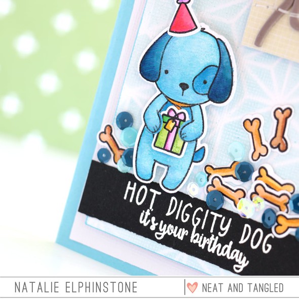 Hot Diggity Dog by natalieelph gallery
