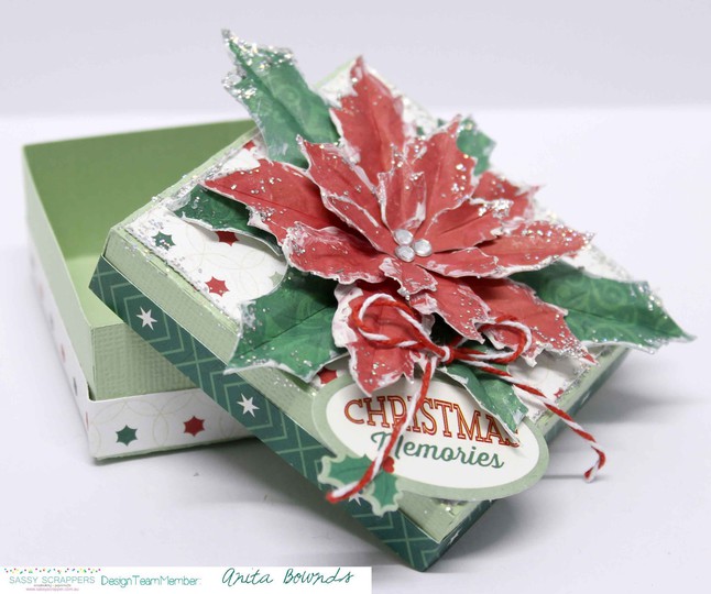 Christmas gift box    anita bownds 2014 dec ssdt (2)