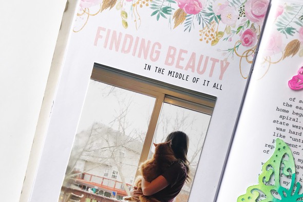 Finding Beauty gallery