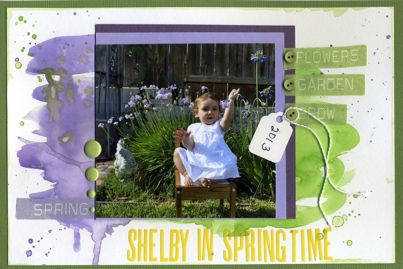 Shelby in springtime