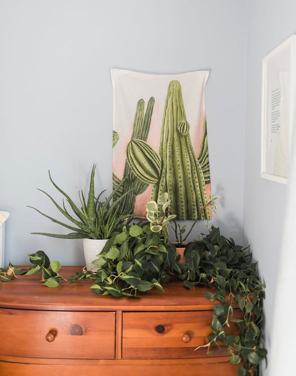 Cactus queen tapestry slider3 original