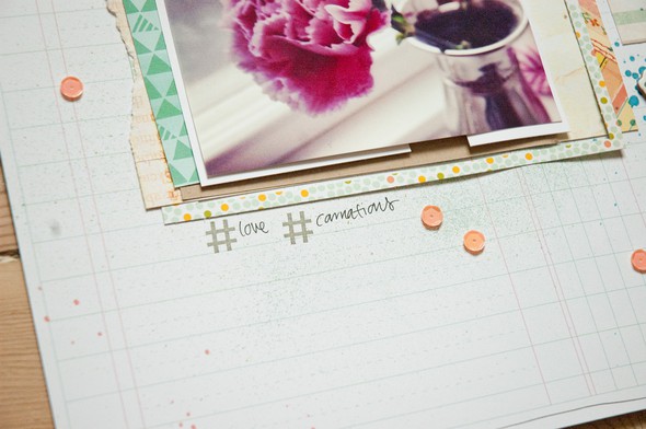 FYI - Love carnations by NinaC gallery