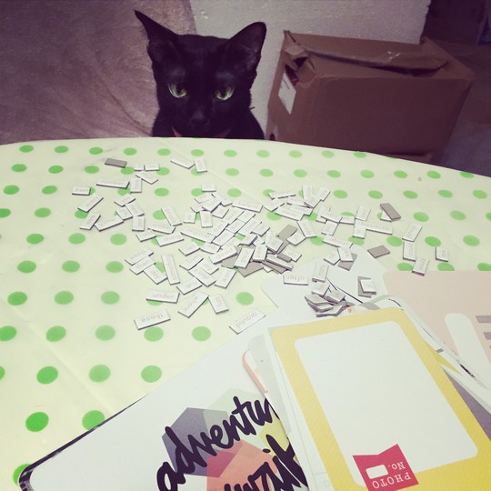Cat in the way of my crafting