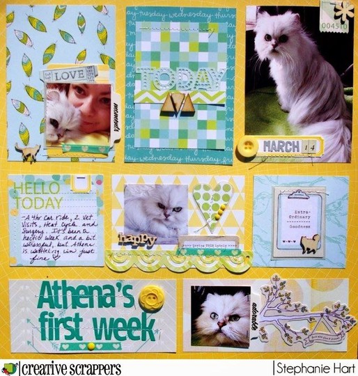 Athena's First Week