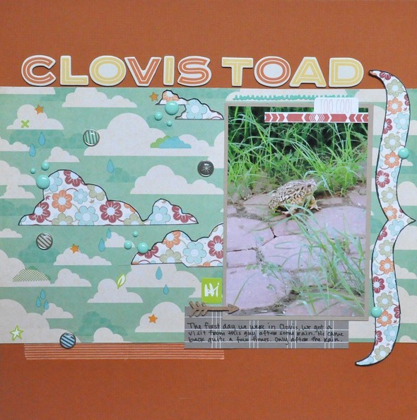 Clovis Toad by SwannPrincess gallery