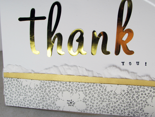 Thank You by LindseyM gallery