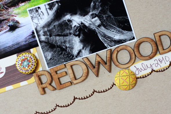 redwoods *Sketchbook Day One* by MandieLou gallery