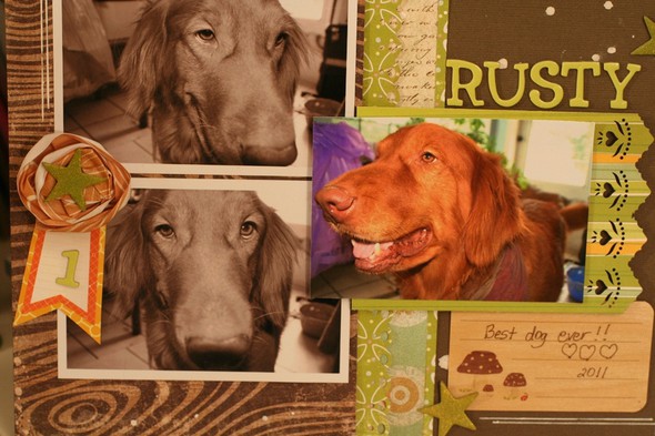 Rusty - best dog ever! by valerieb gallery