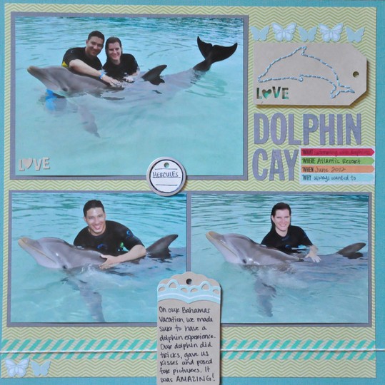 Dolphincay