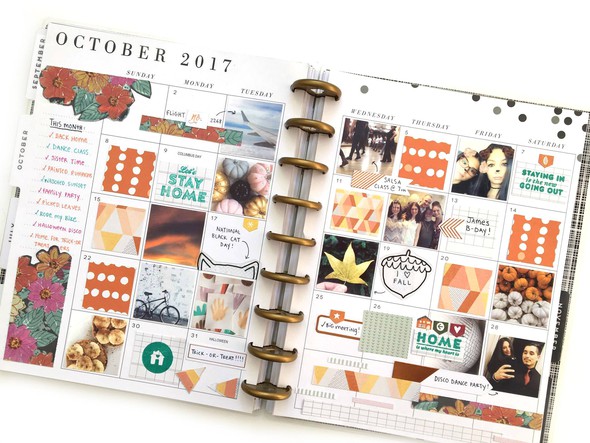 Homestead Kit Memory-Planned Month by AmandaRoseZamp gallery