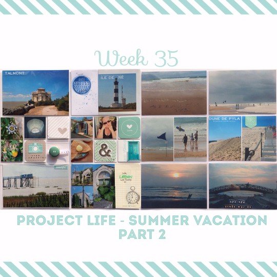 project life week 35
