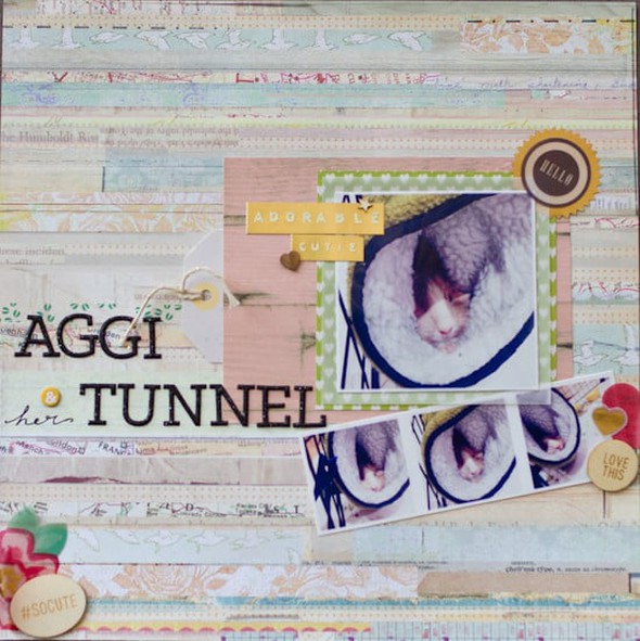 Aggi & Her Tunnel by Hpallot gallery