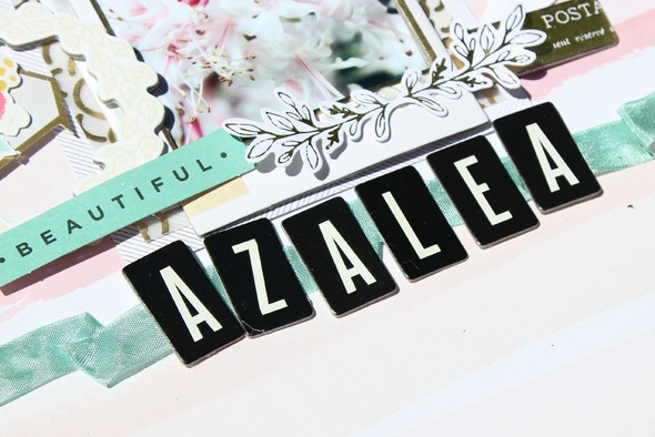 azalea by KateKennedy gallery