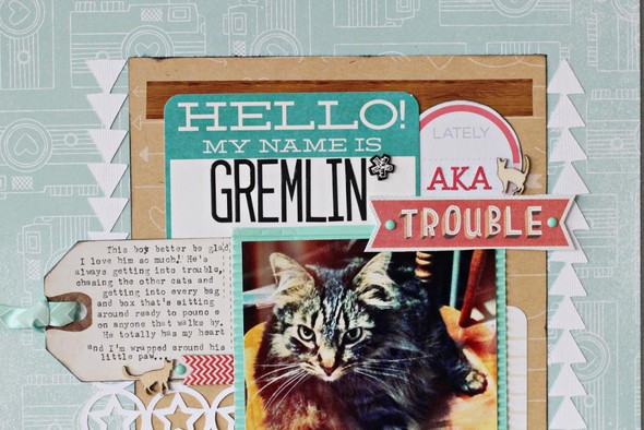 My Name is Gremlin AKA Trouble by valerieb gallery
