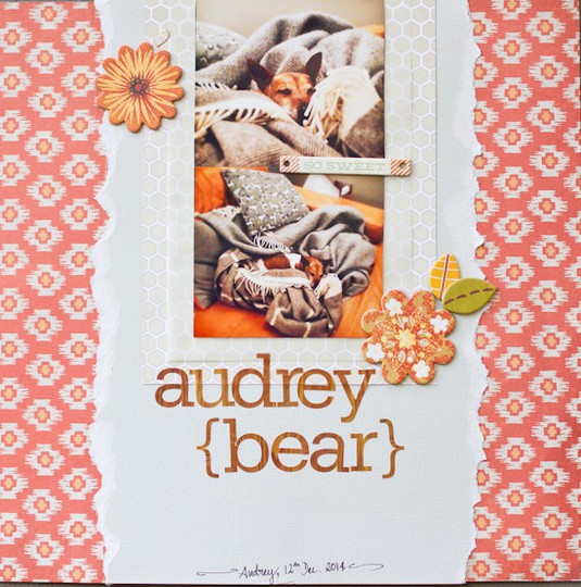 Audrey Bear