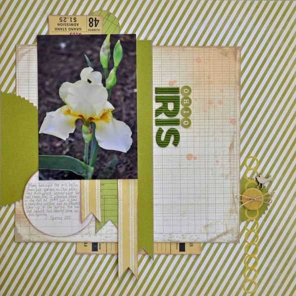 Ohio Iris {Sunday Sketch & Layering Challenges} by Betsy_Gourley gallery