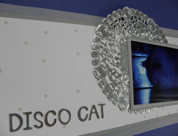 Disco Cat by cica313 gallery