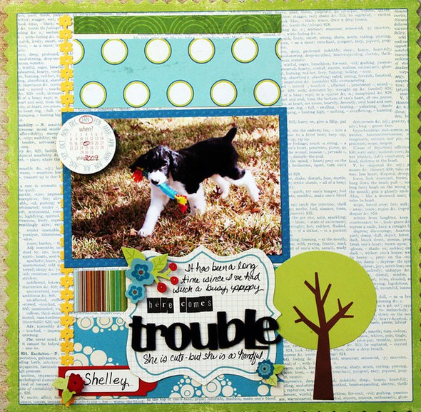 Here comes Trouble by Jacquie gallery