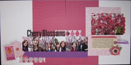Cherry blossoms 2011