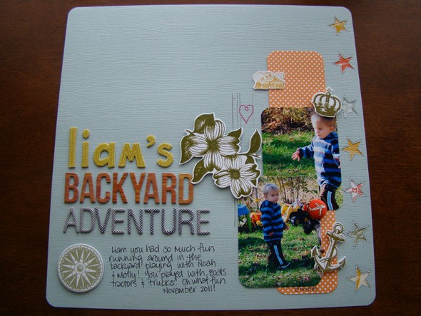 Liam's Backyard Adventure by danielle1975 gallery