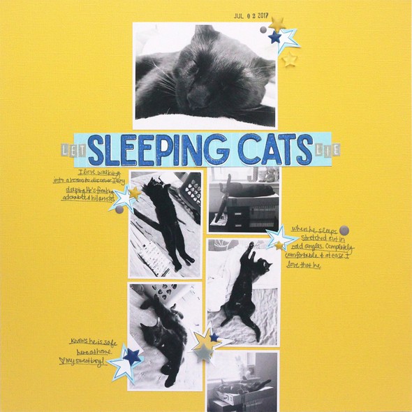 Sleeping Cats by jamieleija gallery