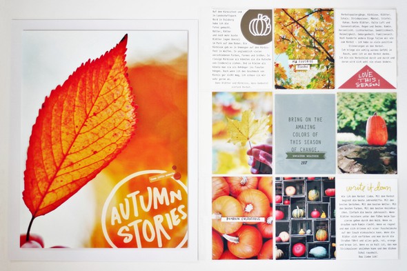 Autumn stories by madamerosenrot gallery