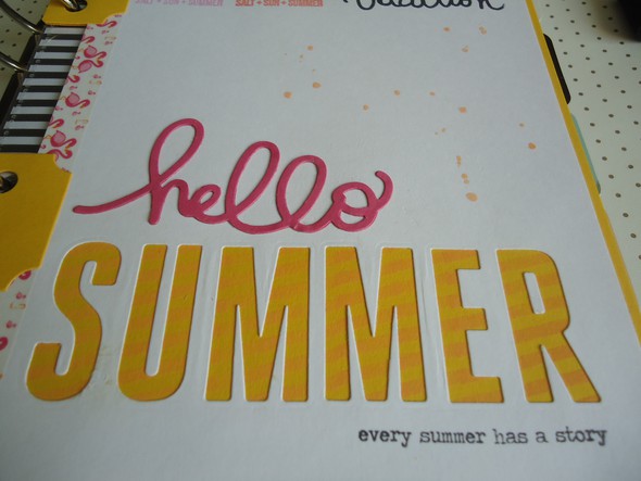 Summer Dashboard by vania gallery
