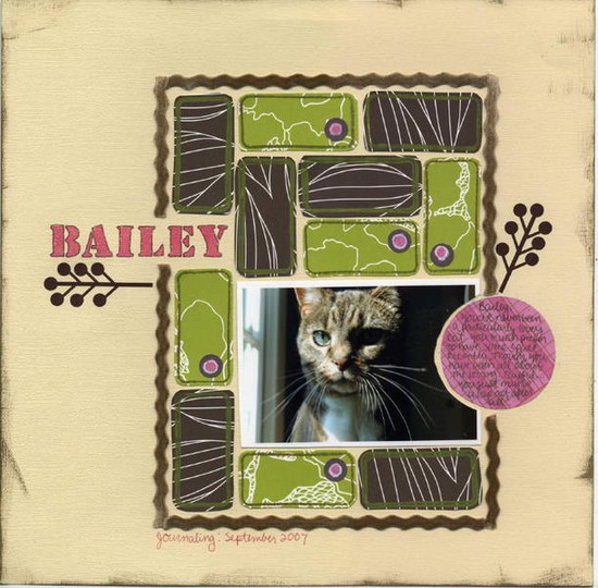 Bailey  2 