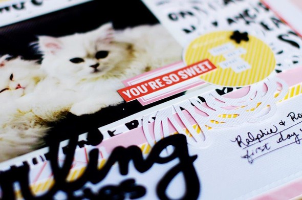 Darling Kitties by bronte10 gallery
