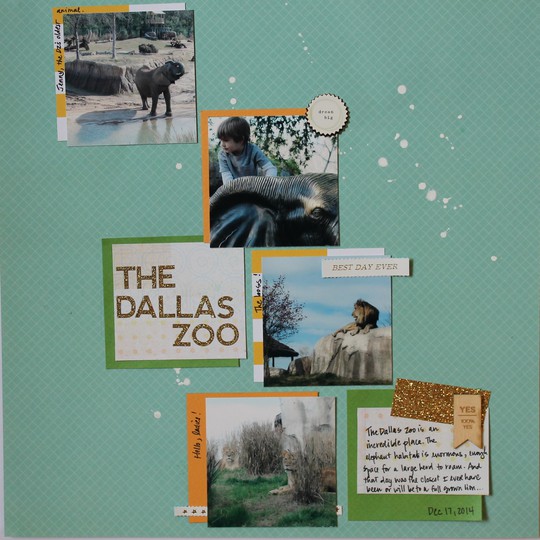 The Dallas Zoo