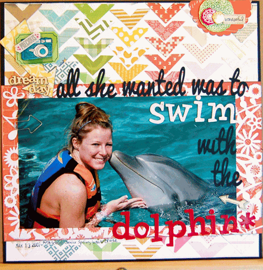 Swim with the Dolphin