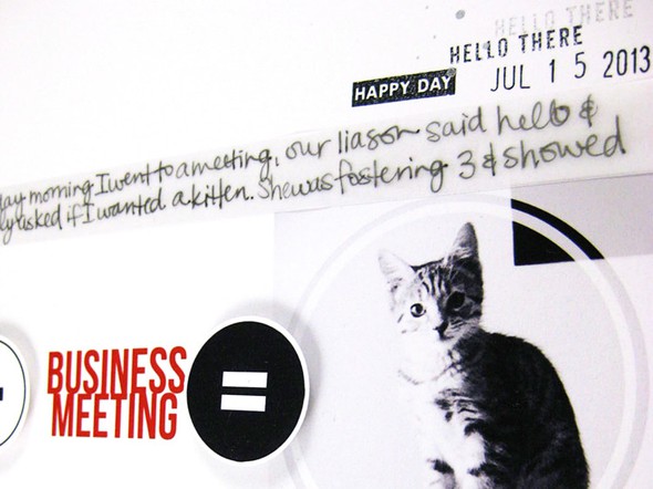 Business Meeting = Kitten?! by jamieleija gallery