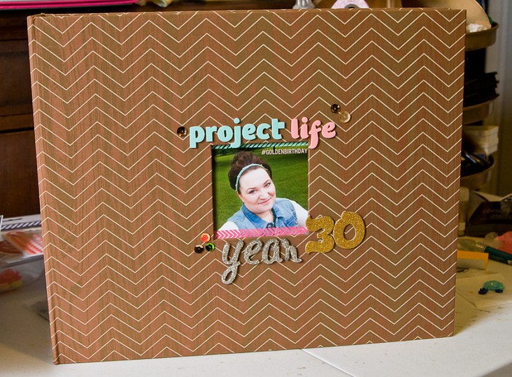 altered album for project life