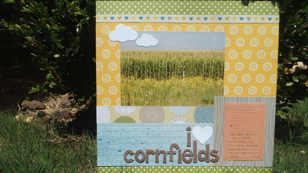 Cornfields
