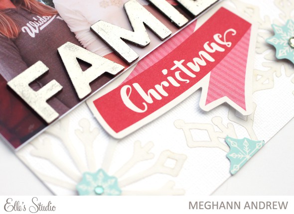 Family Christmas by meghannandrew gallery