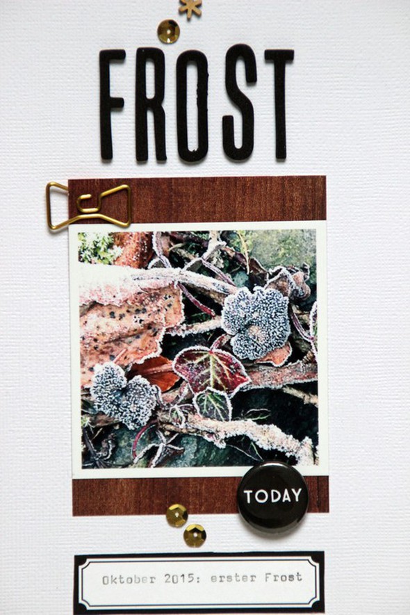 Frost by AnkeKramer gallery
